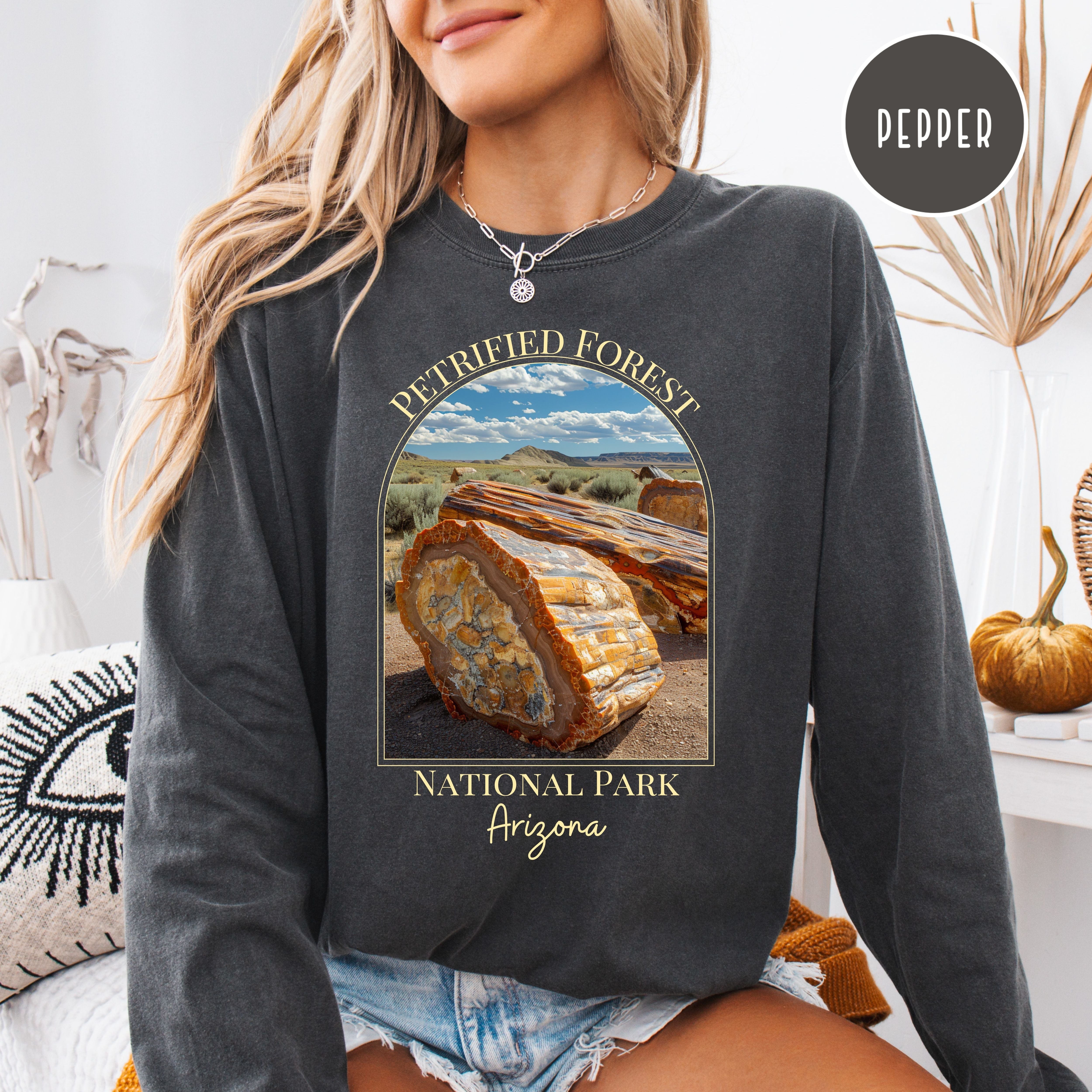 Petrified Forest National Park Arizona Comfort Colors Long Sleeve Unisex Tee