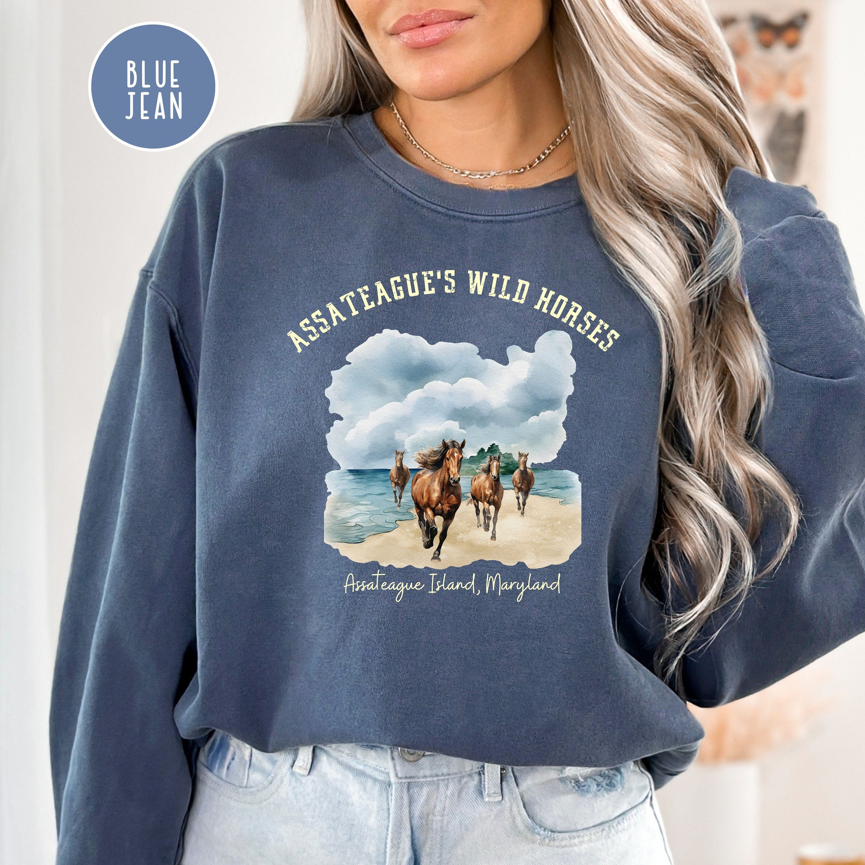 Wild Horses Assateague Island Maryland Comfort Colors® Sweatshirt