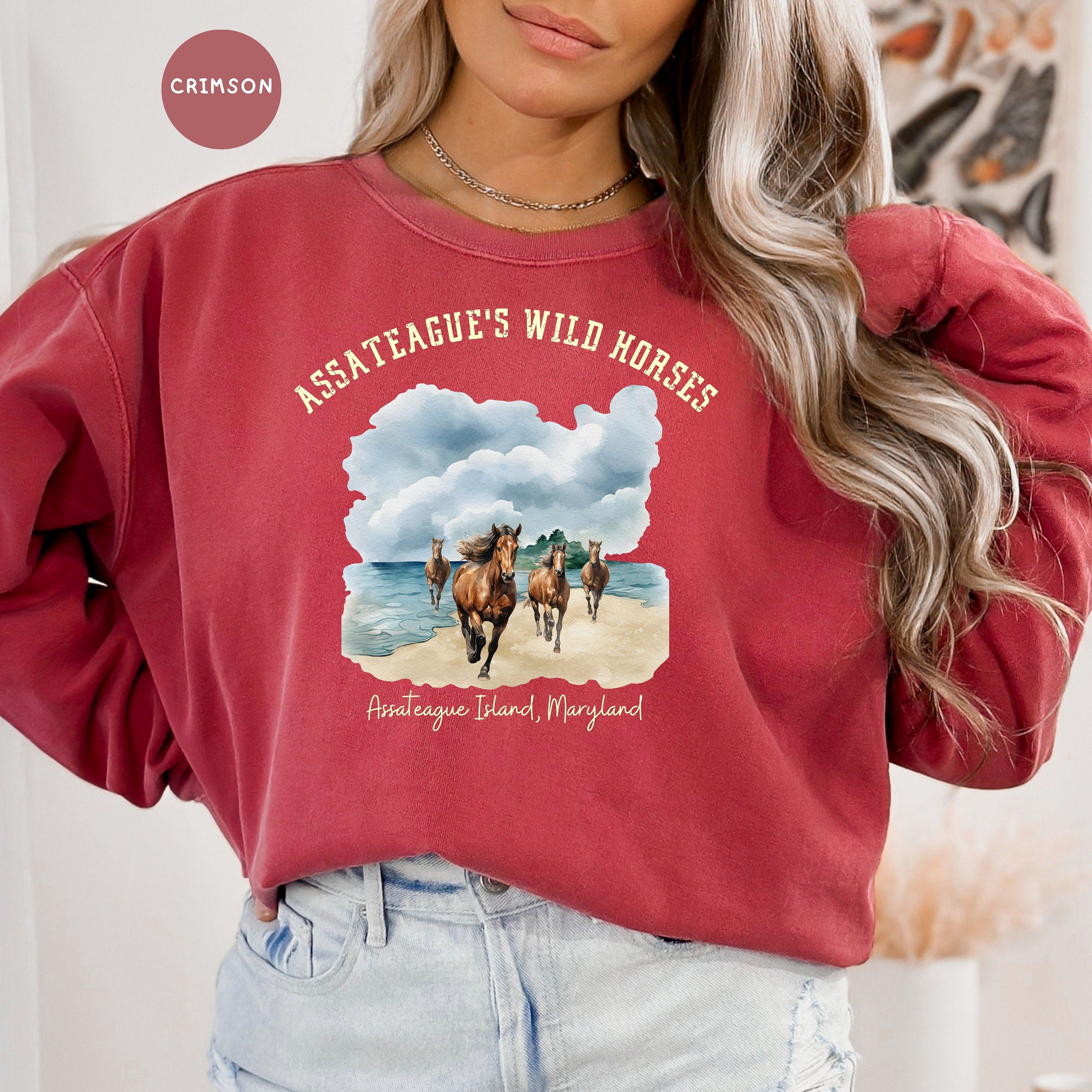 Wild Horses Assateague Island Maryland Comfort Colors® Sweatshirt
