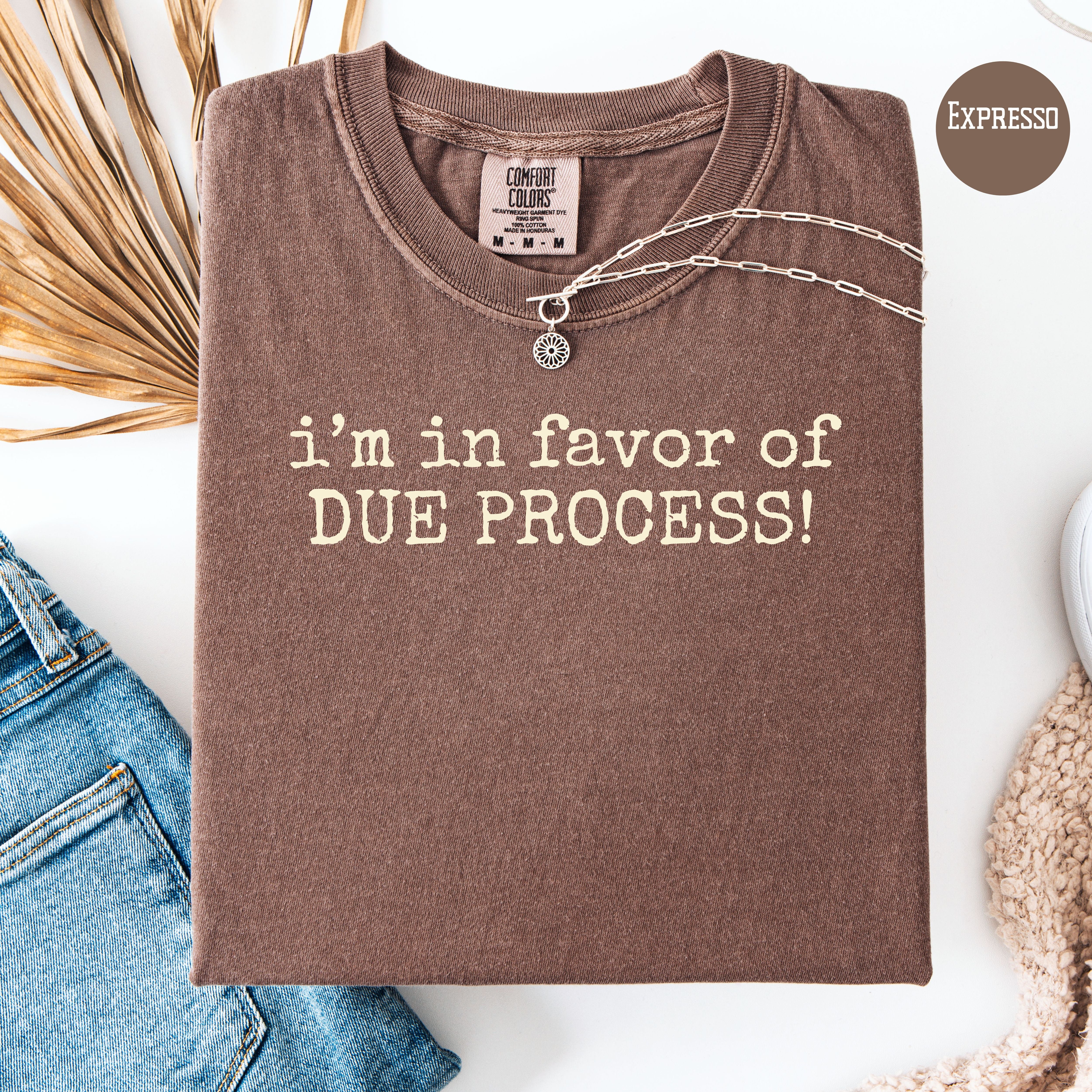I'm Pro-Due Process Comfort Colors Political Protest Tee