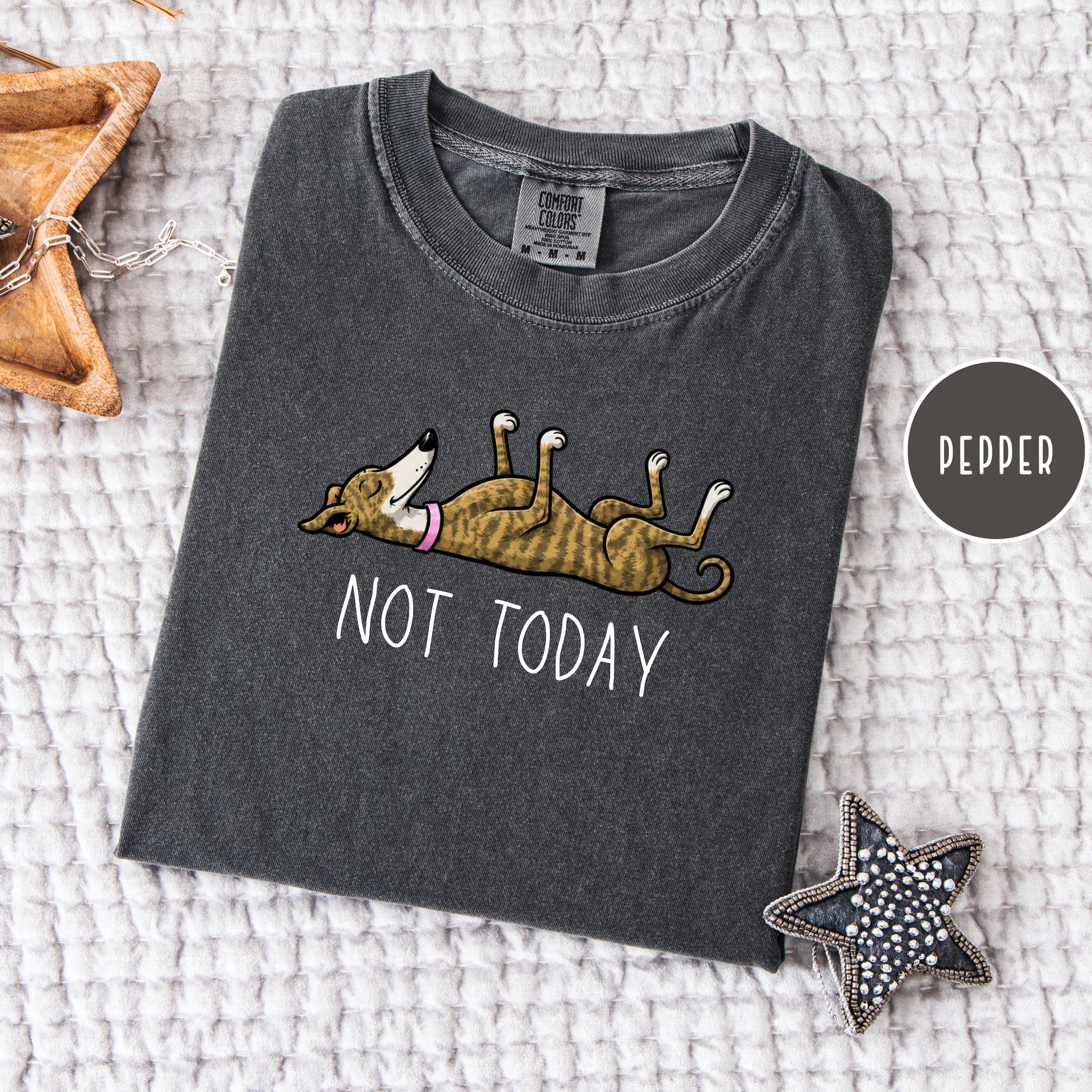 Greyhound Lover Unisex Comfort Colors T-Shirt, Greyhound Mom Shirt, Greyhound Dad Shirt, Funny Not Today Shirt, Animal Lover Shirt