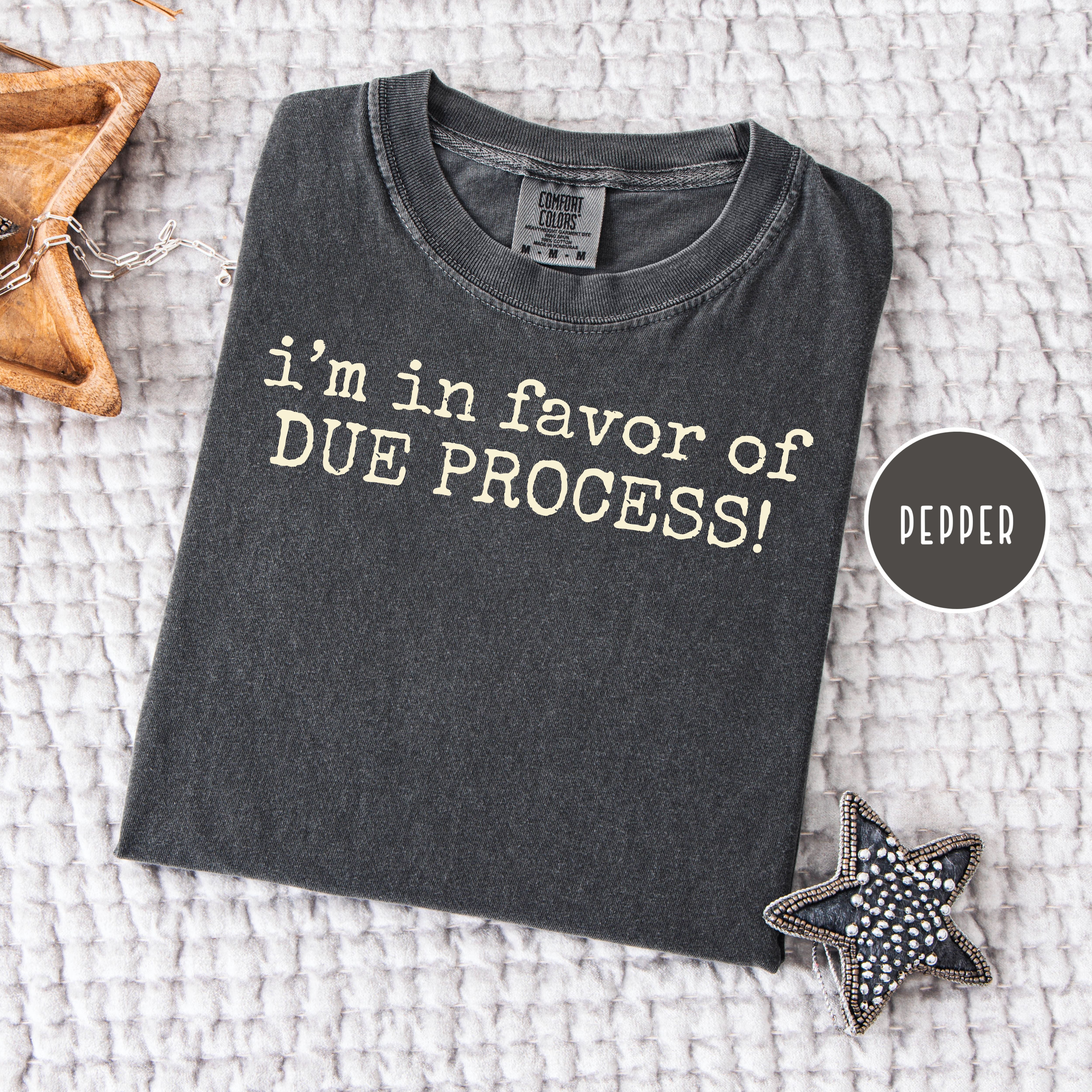 I'm Pro-Due Process Comfort Colors Political Protest Tee