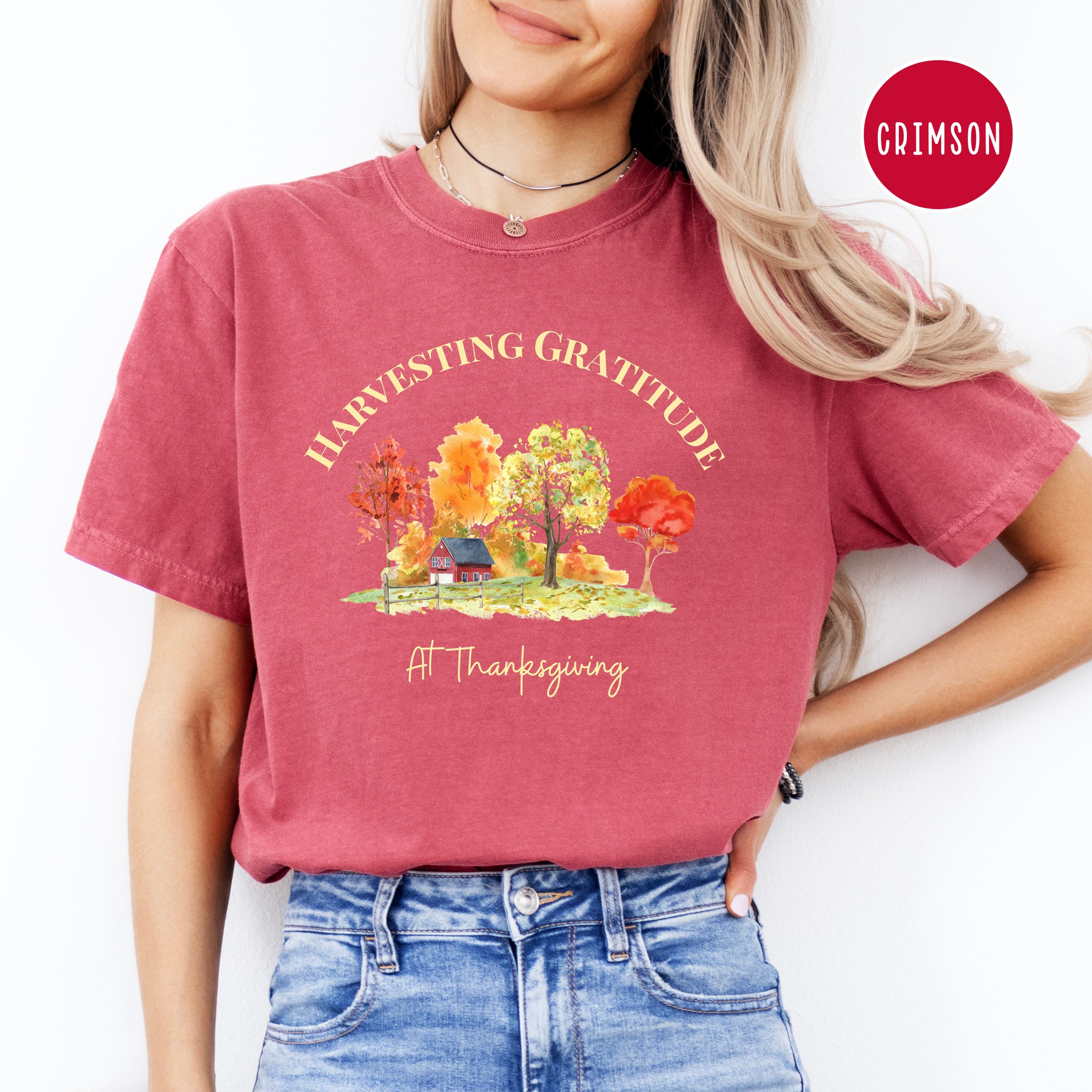 Thanksgiving Gratitude Comfort Colors® Tee