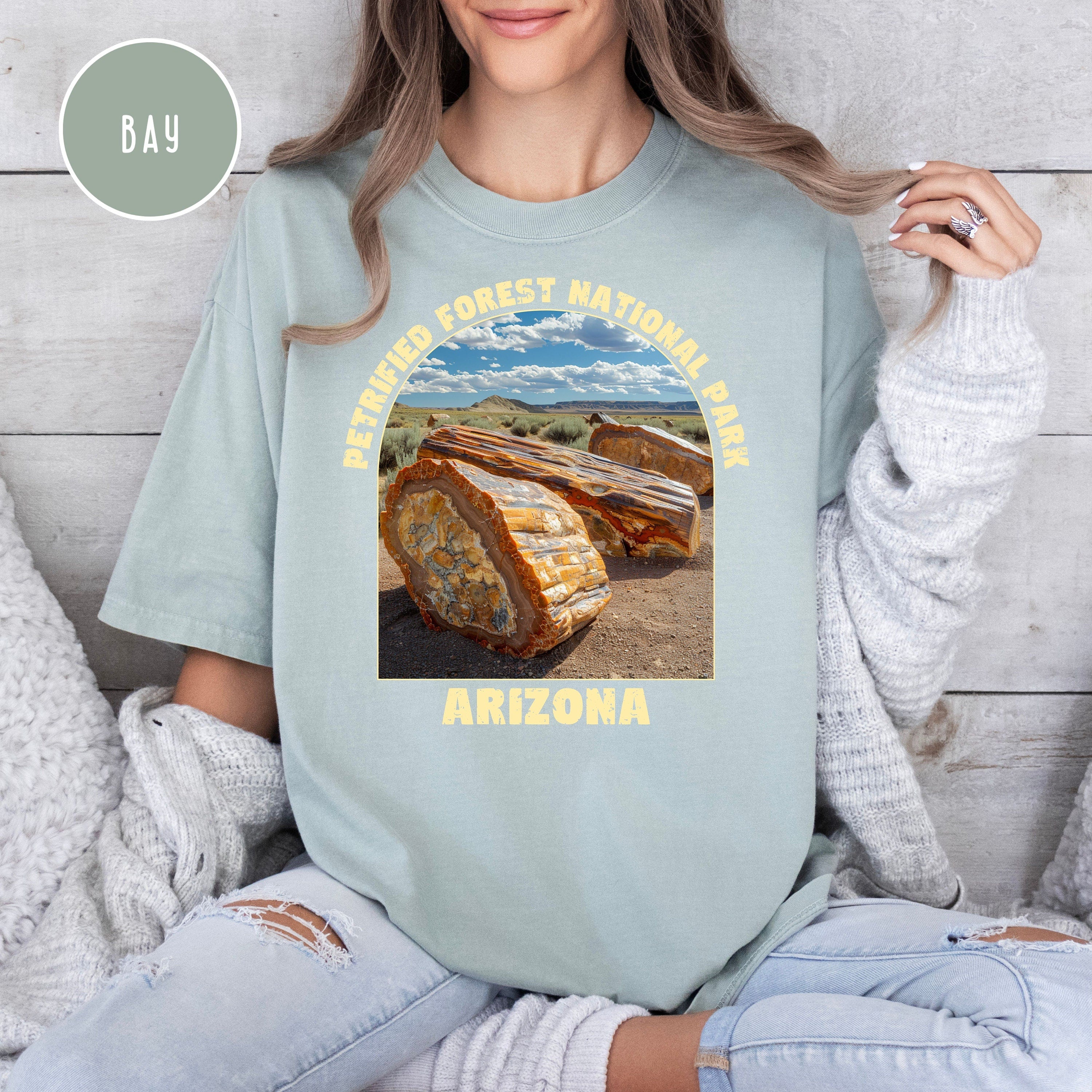 Petrified Forest National Park Comfort Colors® Tee