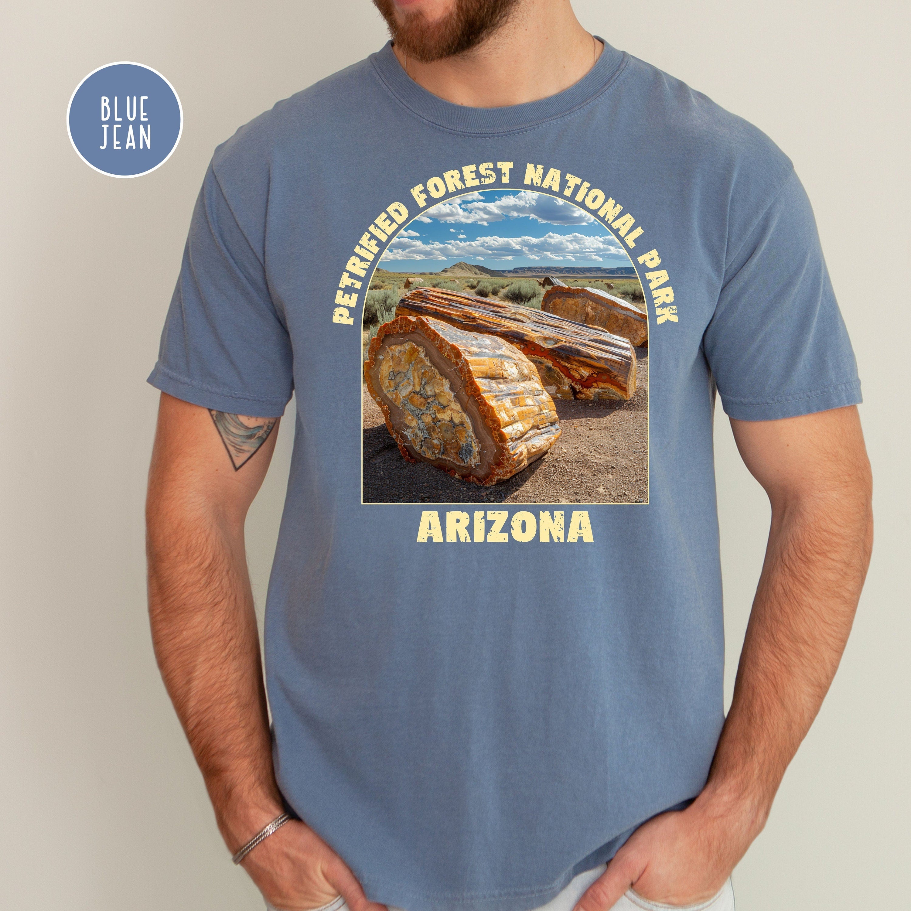 Petrified Forest National Park Comfort Colors® Tee