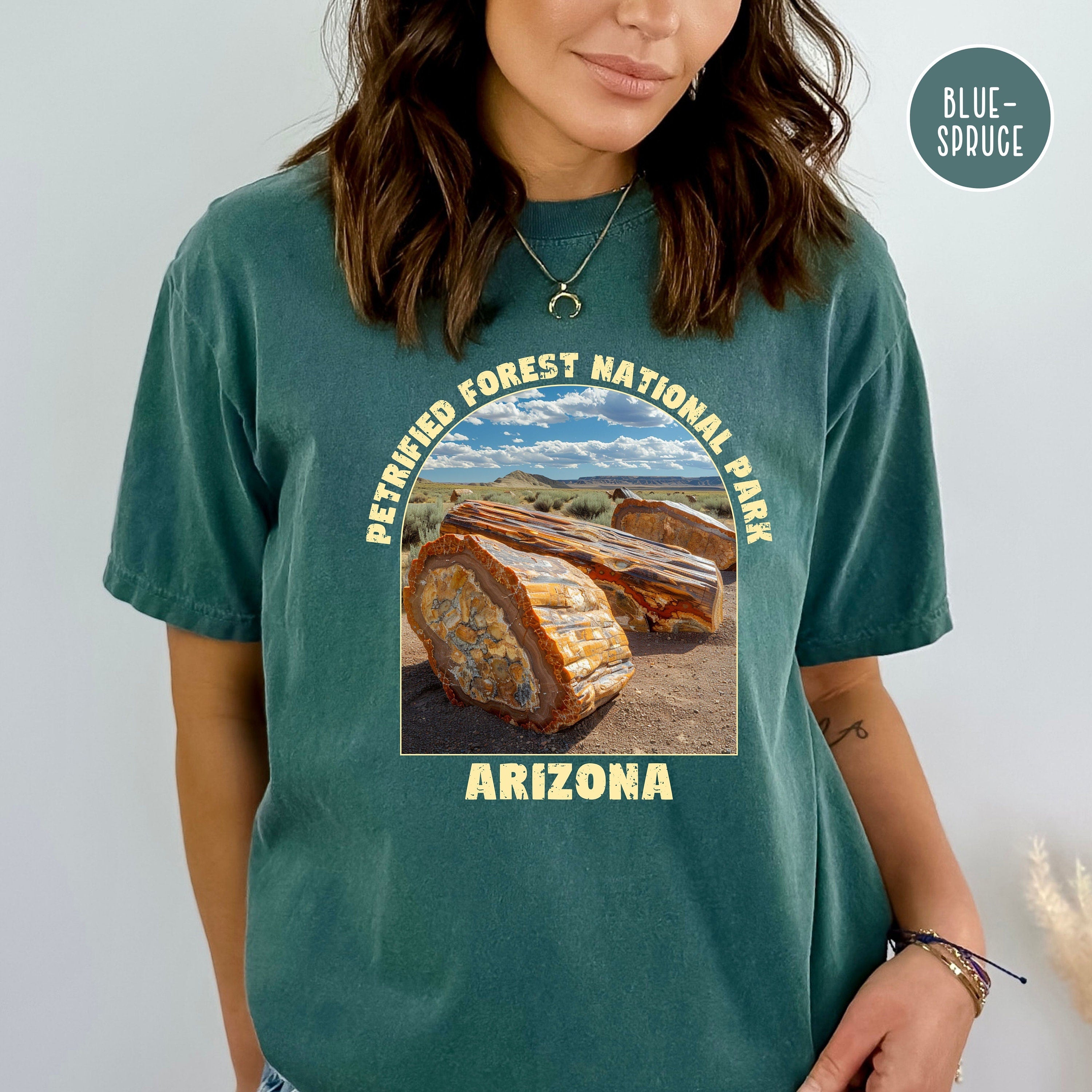 Petrified Forest National Park Comfort Colors® Tee