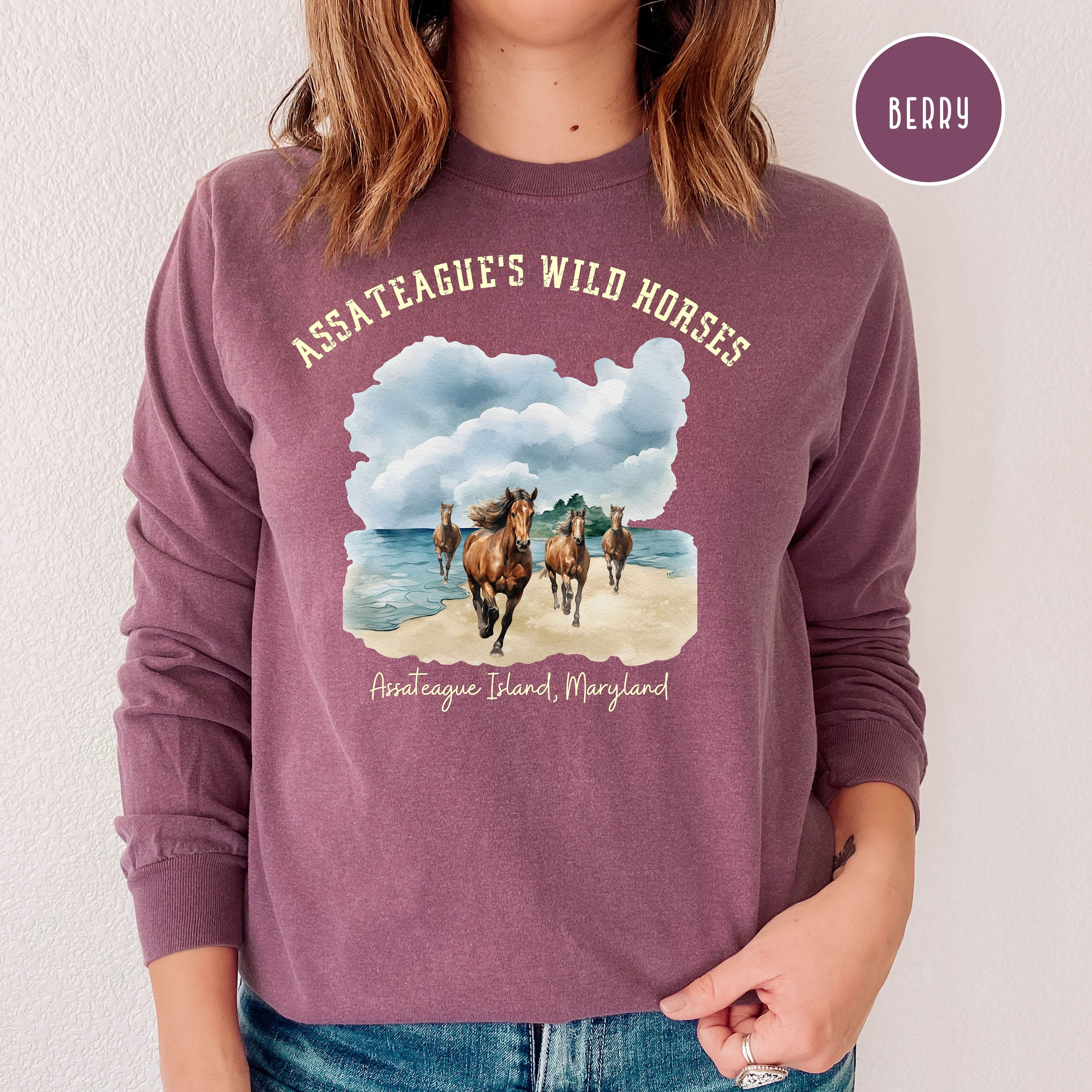 Wild Horses Assateague Island Maryland Comfort Colors® Long Sleeve Tee