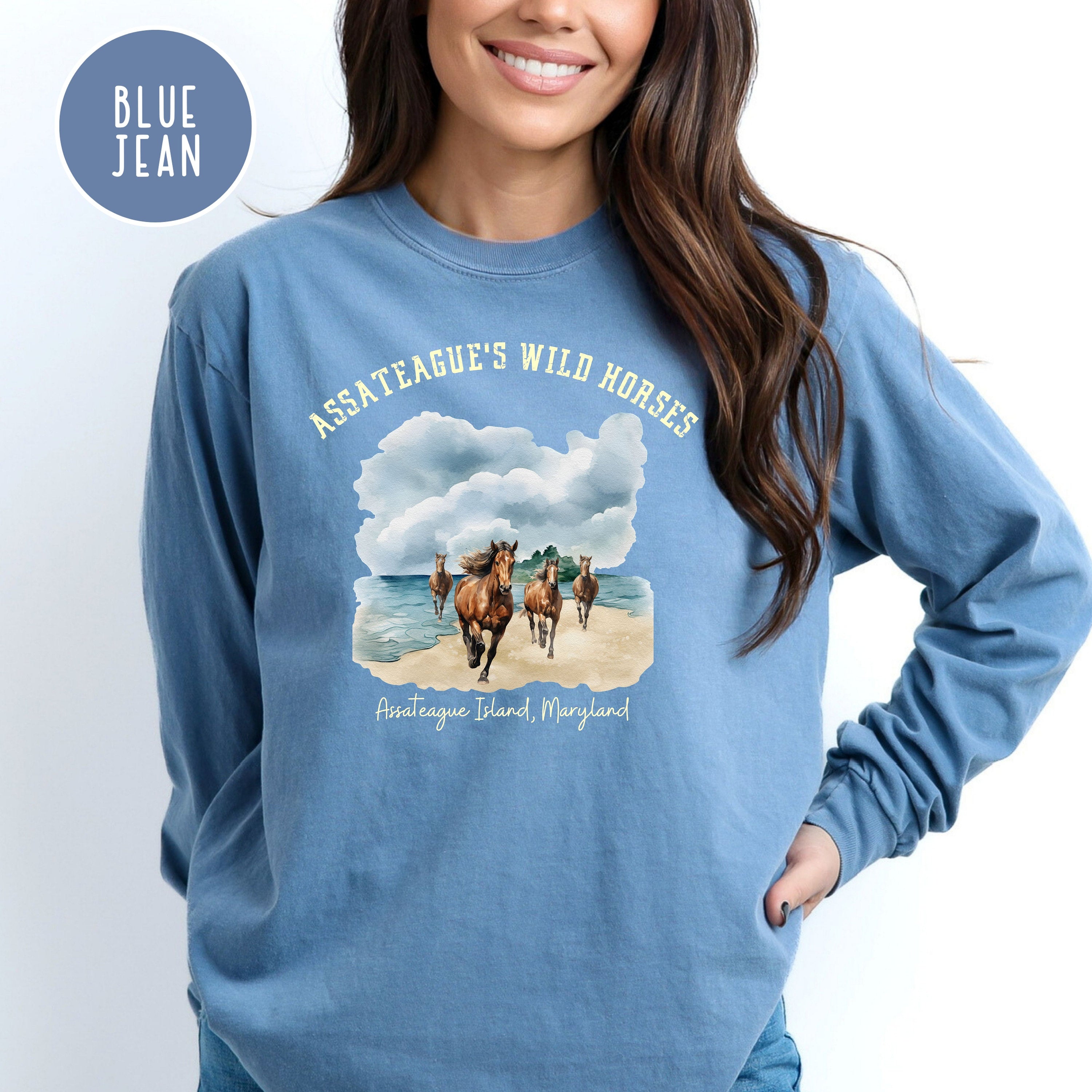 Wild Horses Assateague Island Maryland Comfort Colors® Long Sleeve Tee